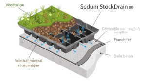 Sedum StockDrain 80 dalle pré-cultivée de drainage et rétention d'eau pour toiture verte