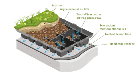 Bac de drainage pour une rétention d’eau optimale en toiture verte : StockDrain 80